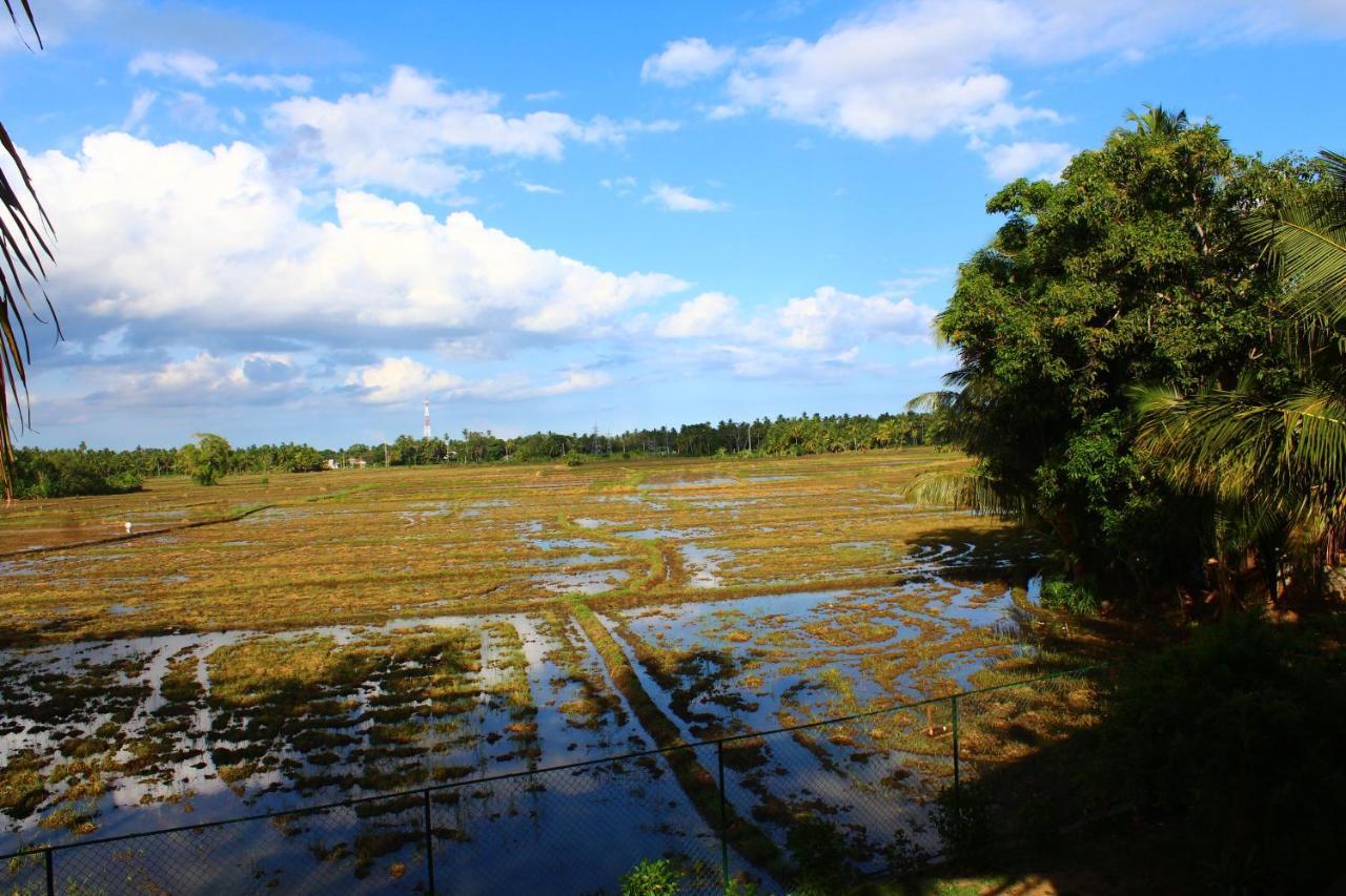 Lavender Home Yala Safari Tissamaharama Eksteriør bilde